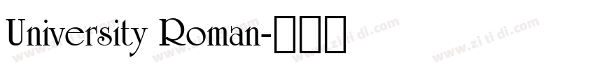 University Roman字体转换